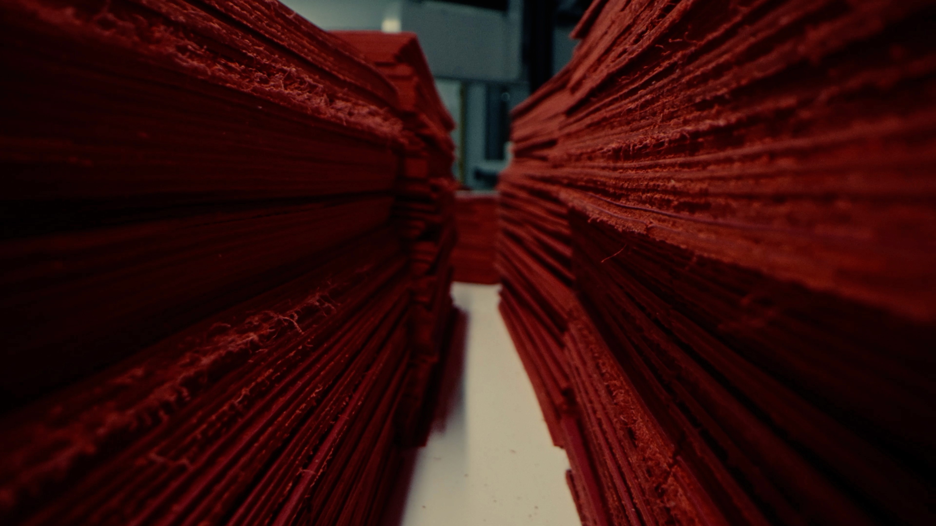 Person, holding a white rose behind his back with one arm on a light blue background