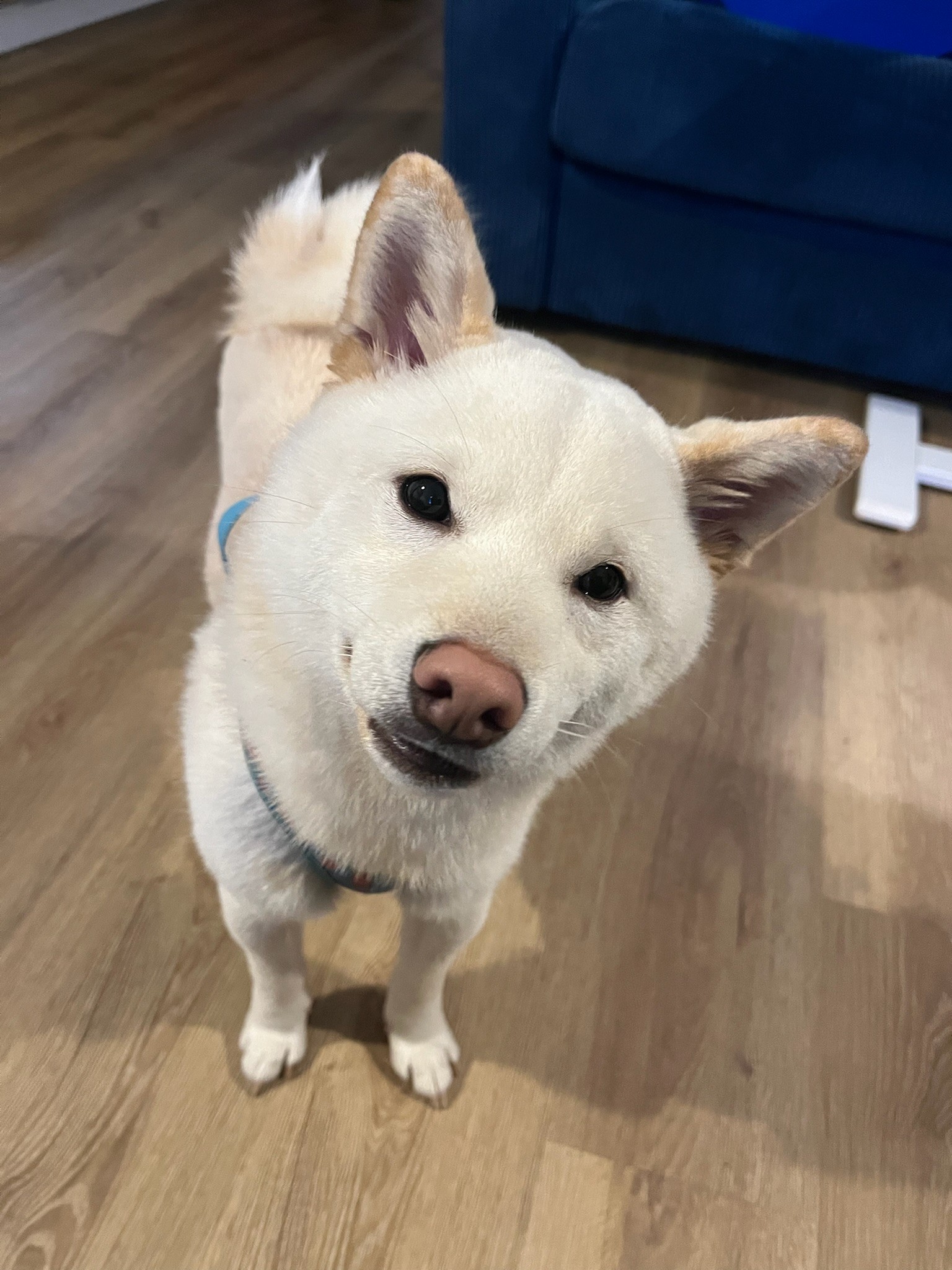 Una&Co Photo Garde à Domicile