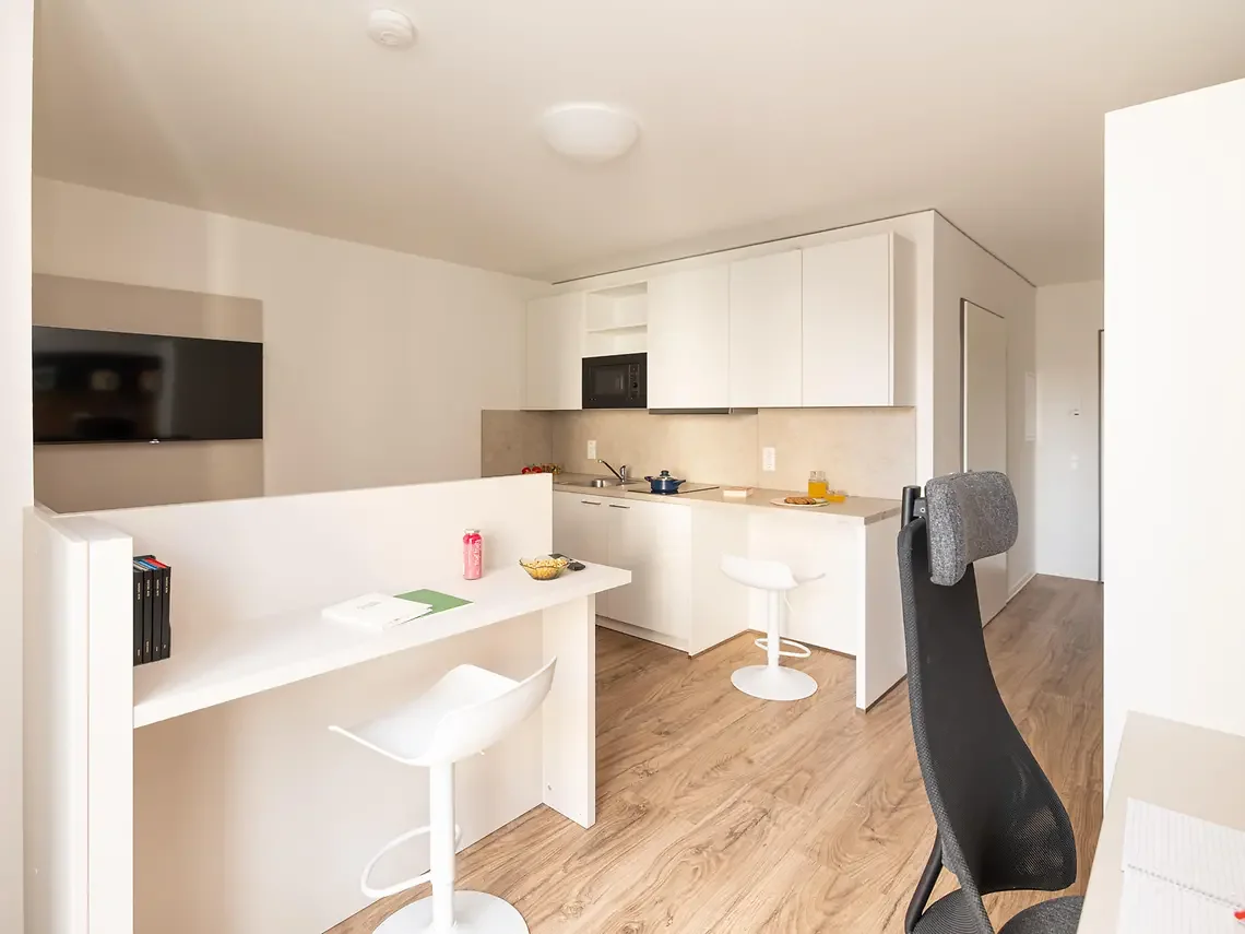 Student accommodation in Hamburg with private kitchenette, study space and modern studio interior