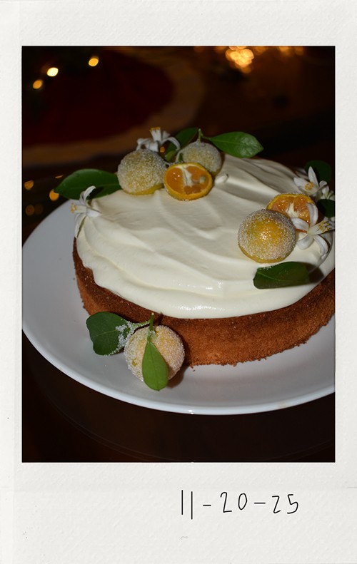 Cake Polaroid - My Dao Designer Portfolio