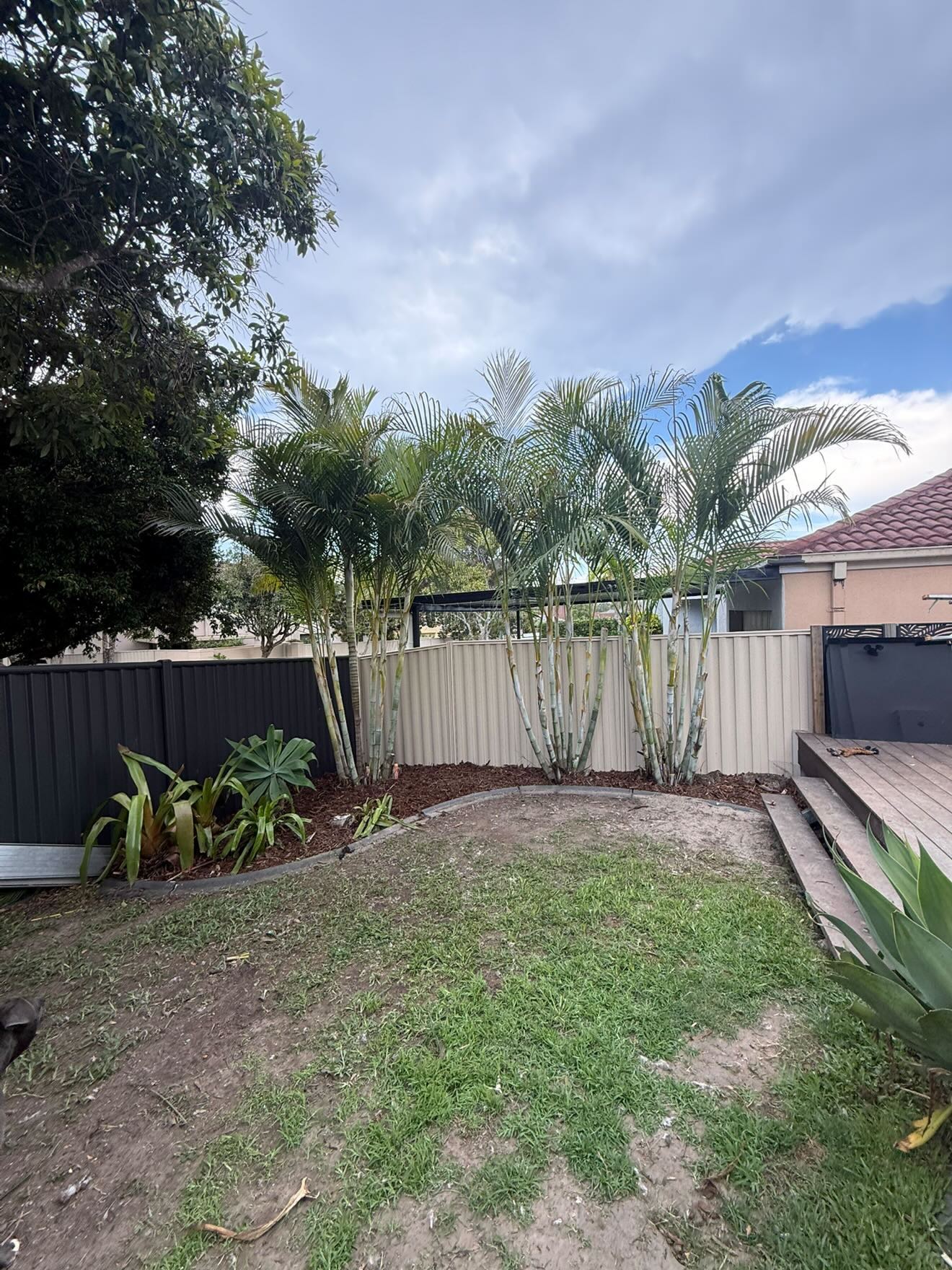 Garden mulching and tropical planting installation with clean edging Gold Coast by Hepburn Property Maintenance