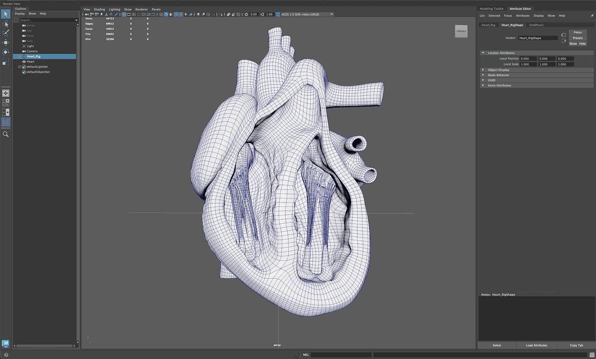 Maya 3D Mesh 