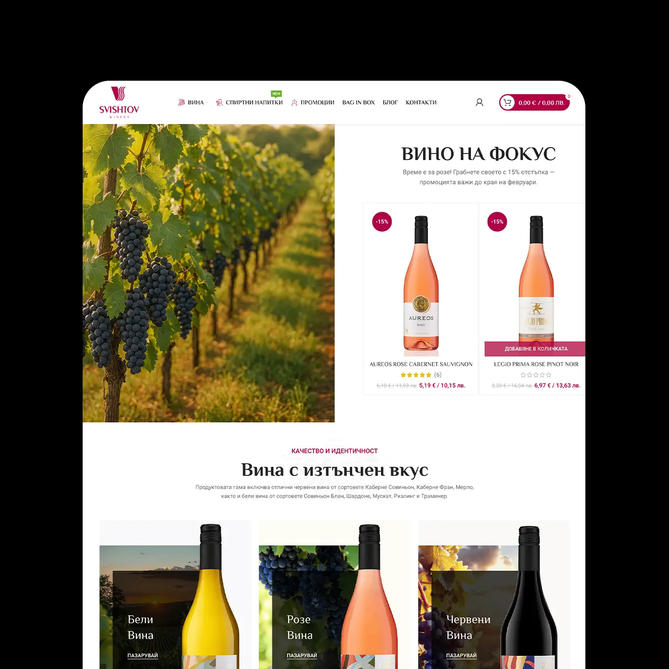 Shishtov Winery and Pansyer | Case Study