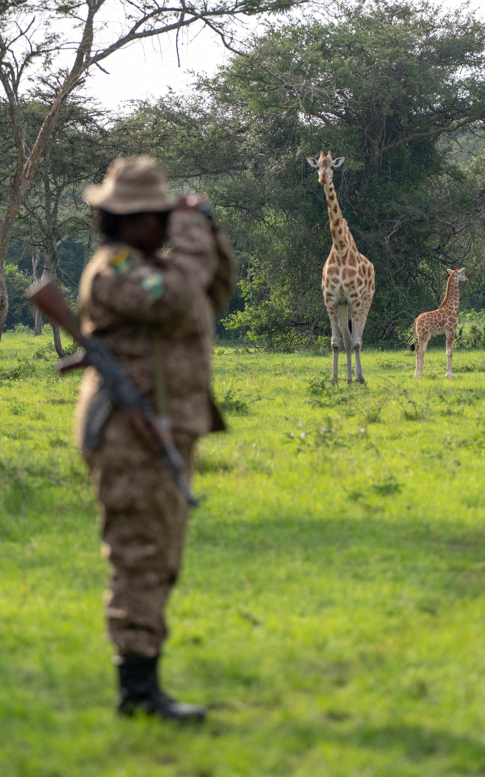 A female ranger guide accompanies tourists on a walking safari in Lake Mburo National Park.