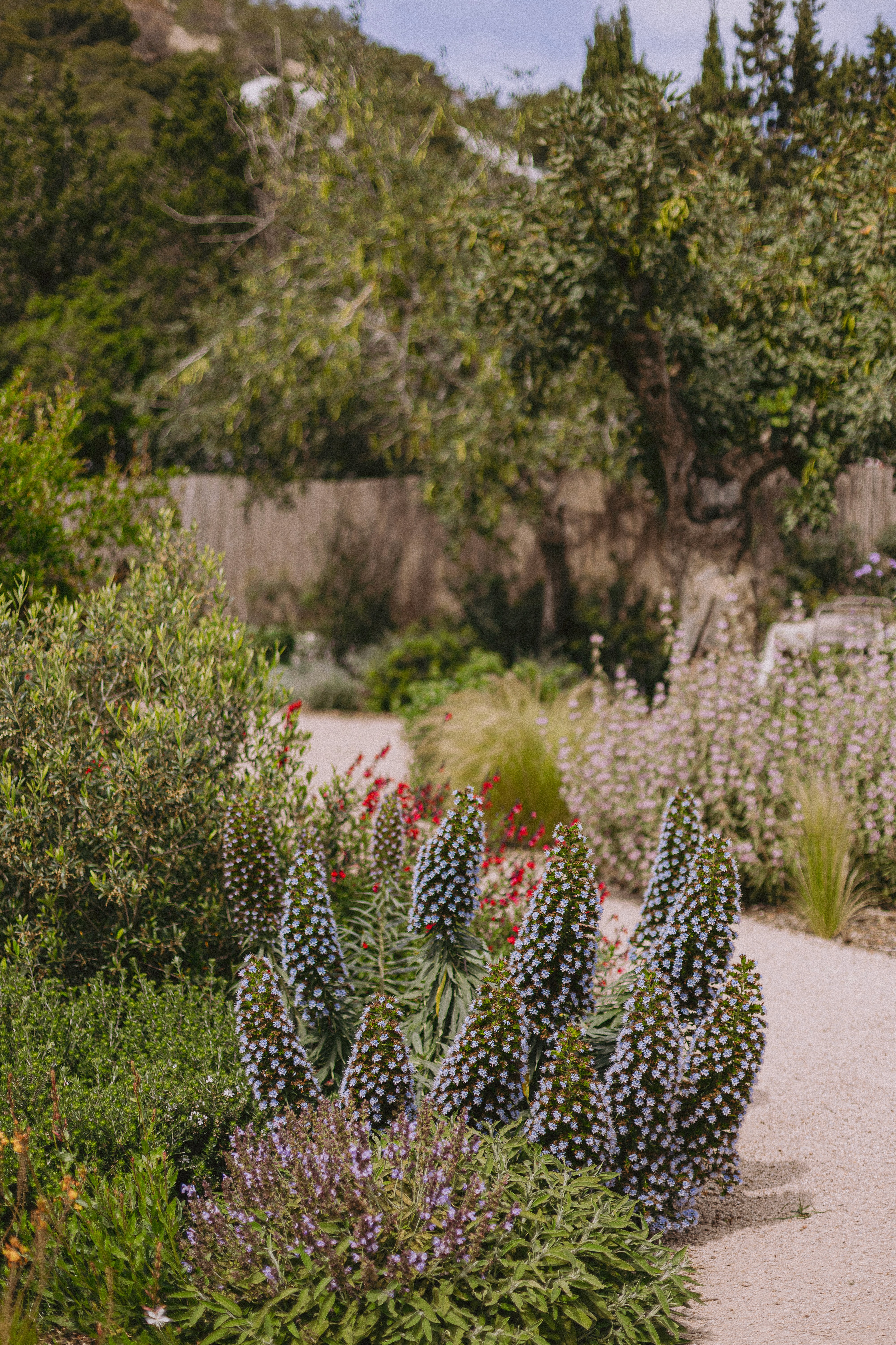 Photo by Tevin Trinh on Unsplash