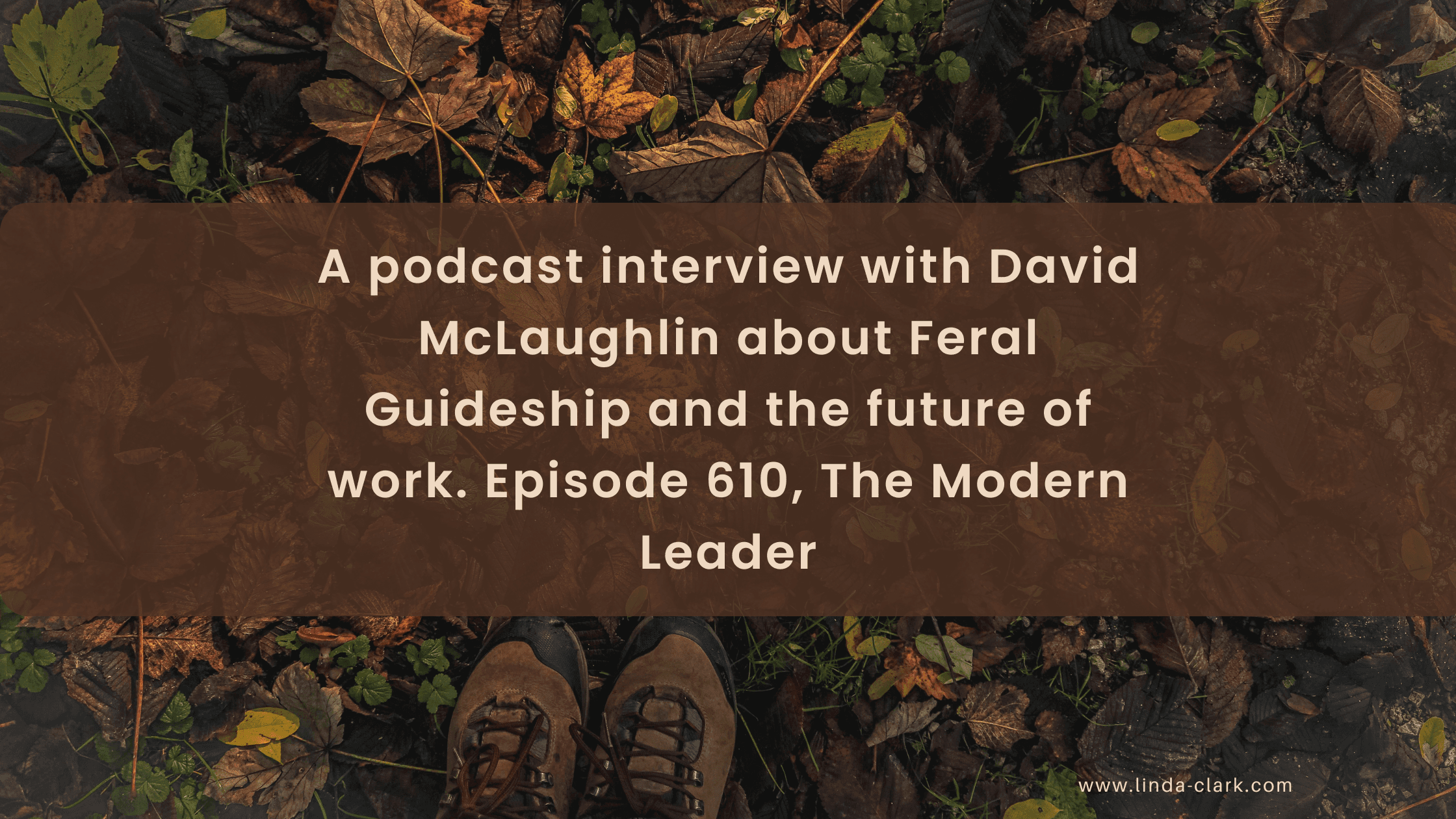 A photo of a forest floor covered in leaves and looking down at your boots in the leaves. The title of the blog post is on a brown background and says Feral Guideship: A Fresh Approach to Leadership | Linda Clark
