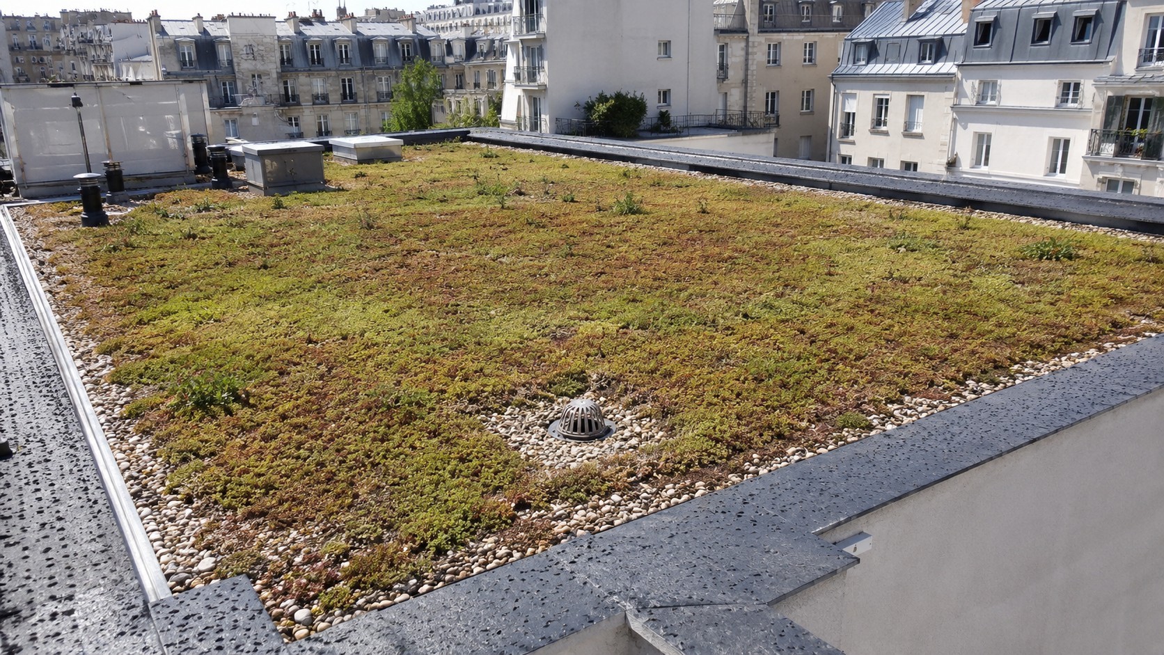 Photo réaliste d’une toiture végétalisée en copropriété à Paris, avec tapis de sedum, gravillons, évacuation d’eau pluviale, relevés d’étanchéité et immeubles parisiens en arrière-plan, illustrant un guide couvreur sur l’entretien et les points de vigilance d’un toit végétalisé collectif.