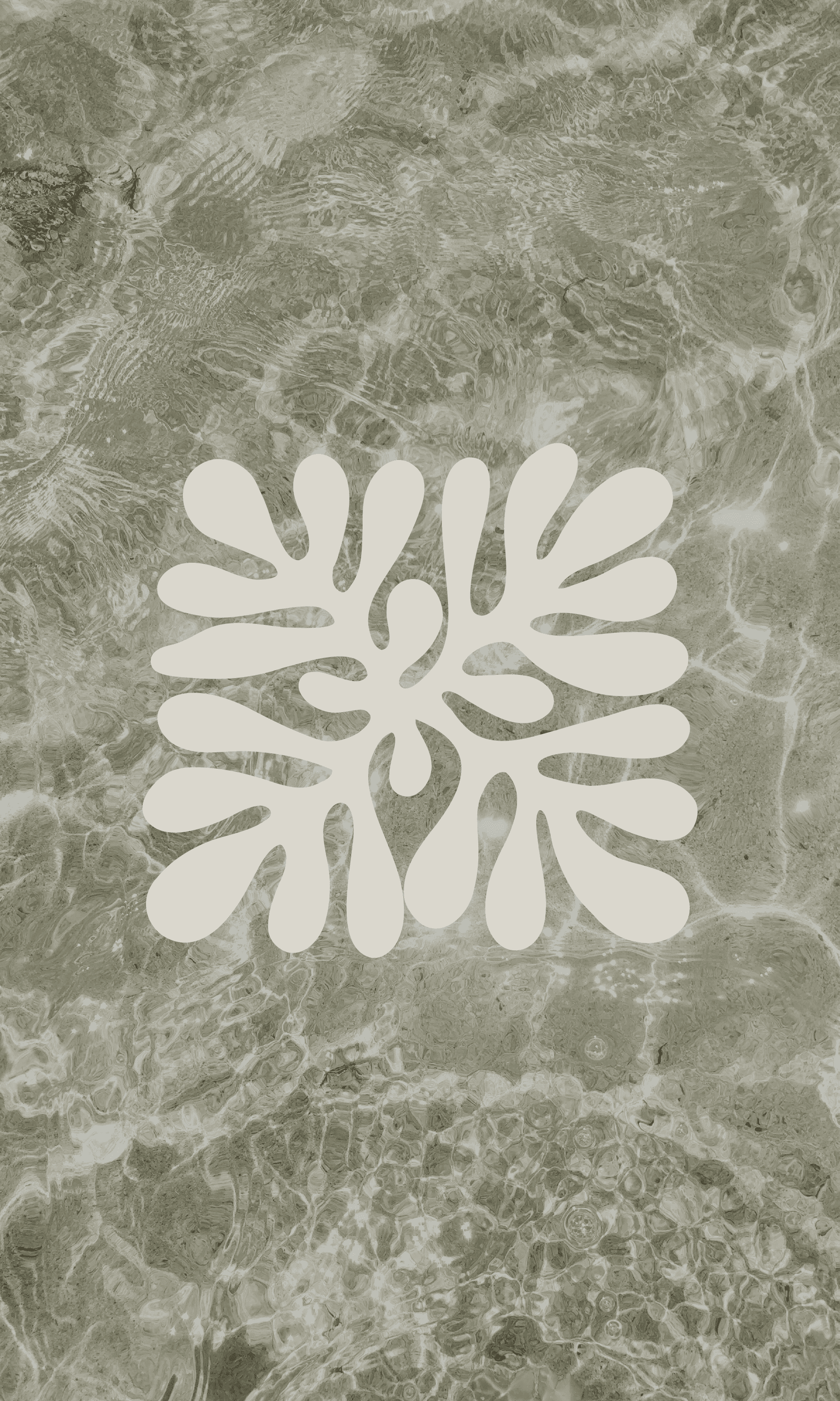 Describe this image here