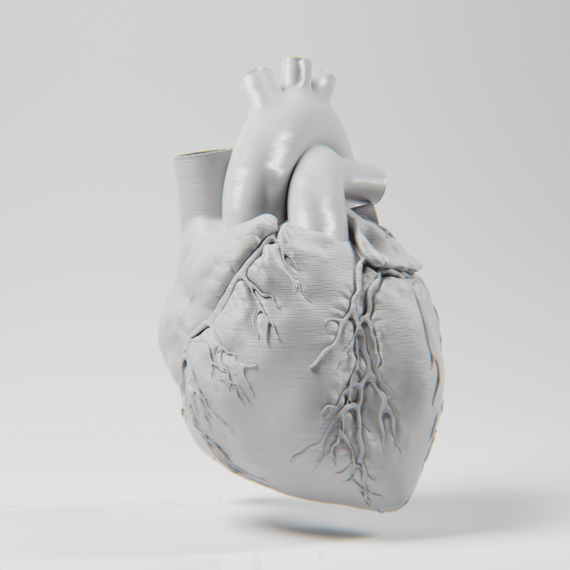 3D printed heart