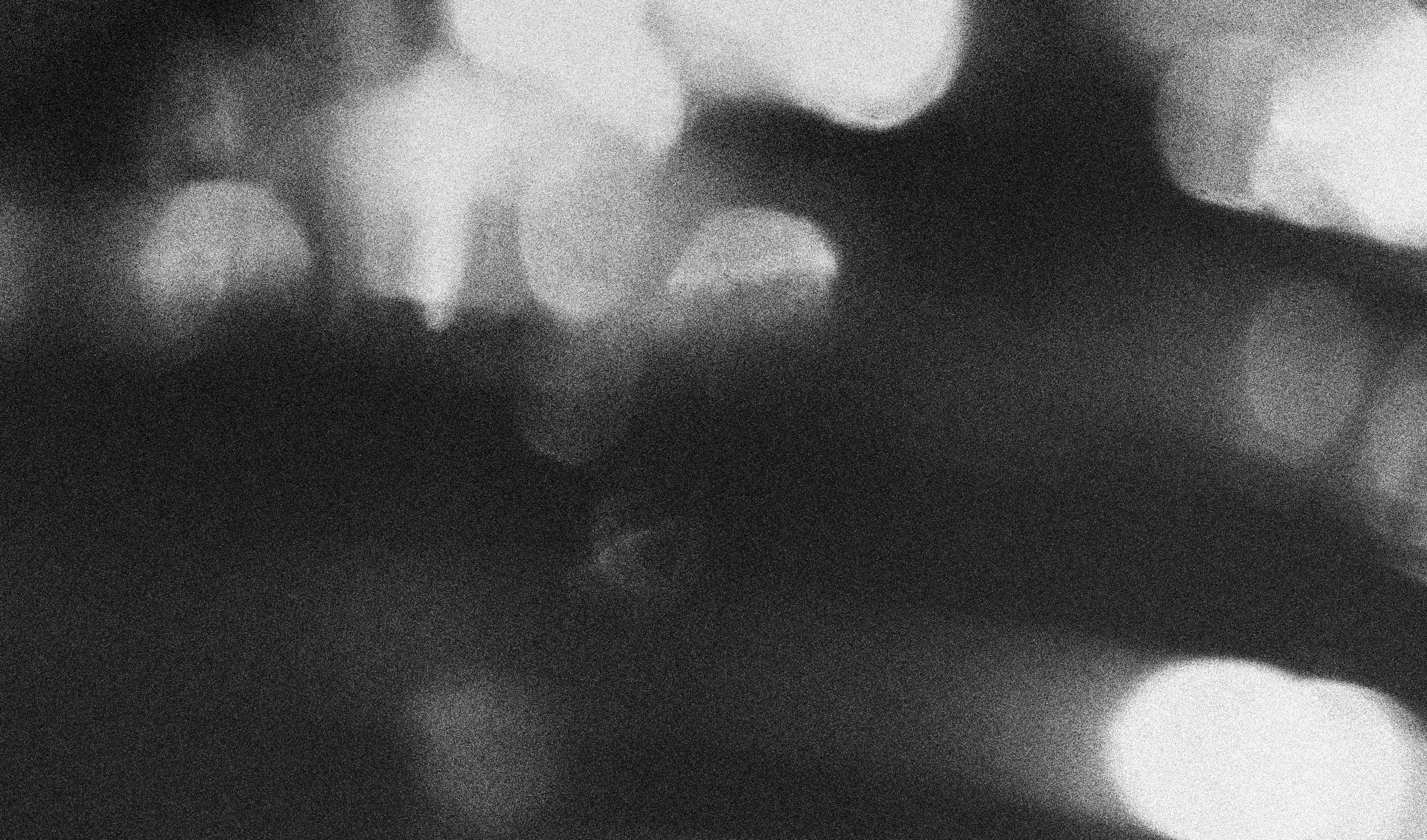 Finn Wilder - B&W Close Up Portrait