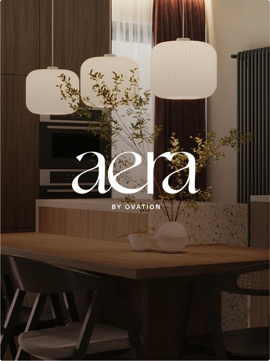 Dom Pérignon vineyards from the sky