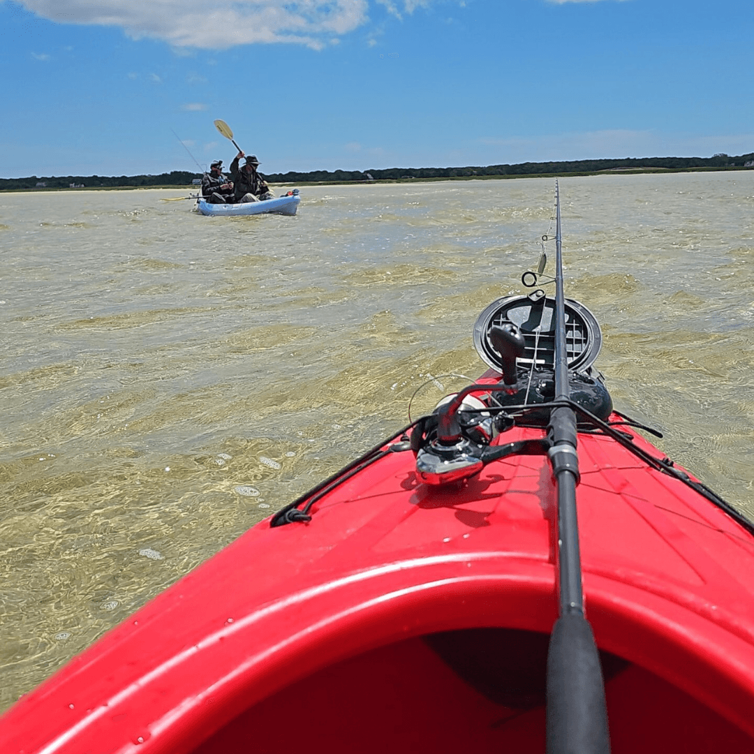 Cape Cod, stripers, striped bass