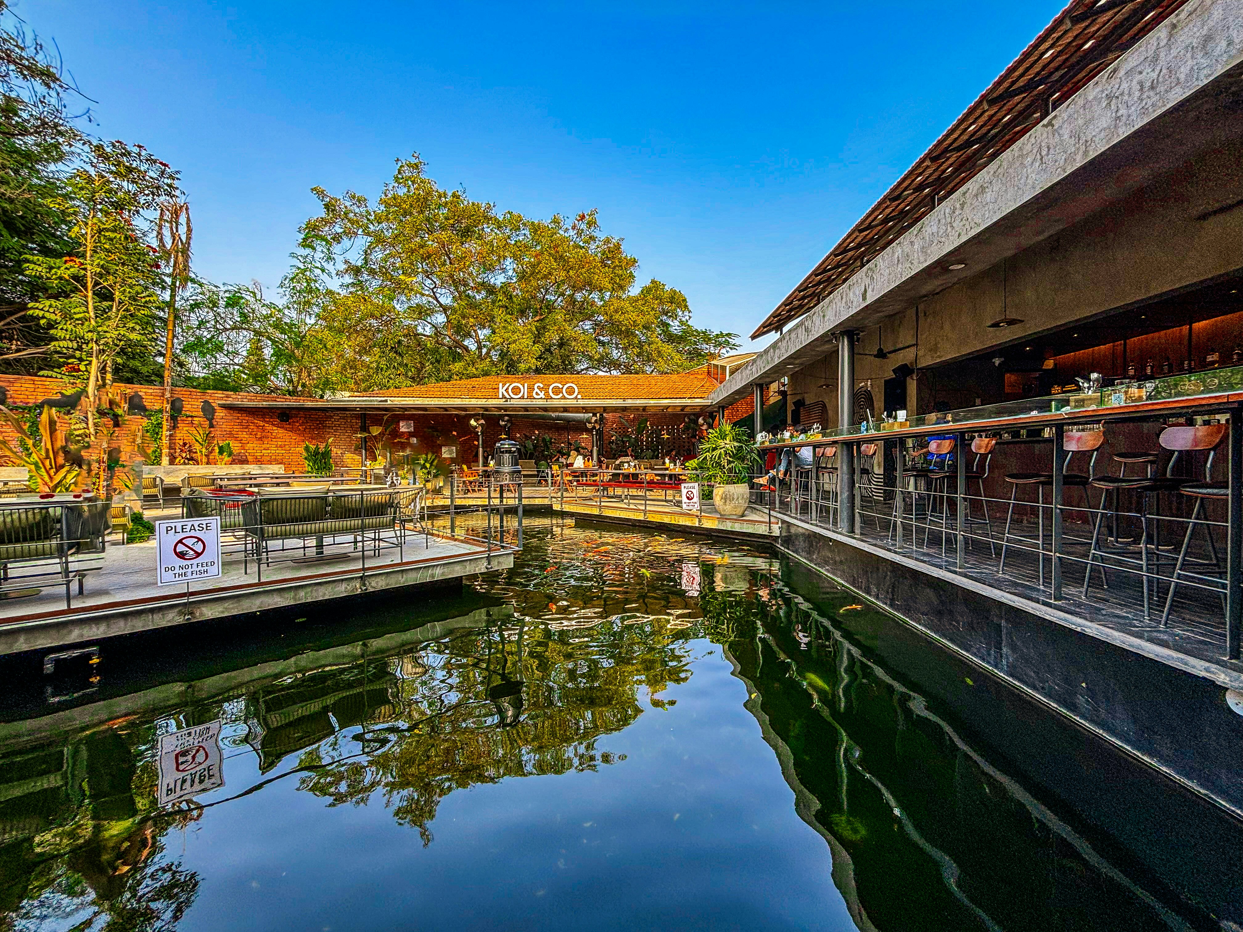 Close-up of blue flowers, glistening with droplets of water, creating a serene and calming atmosphere.