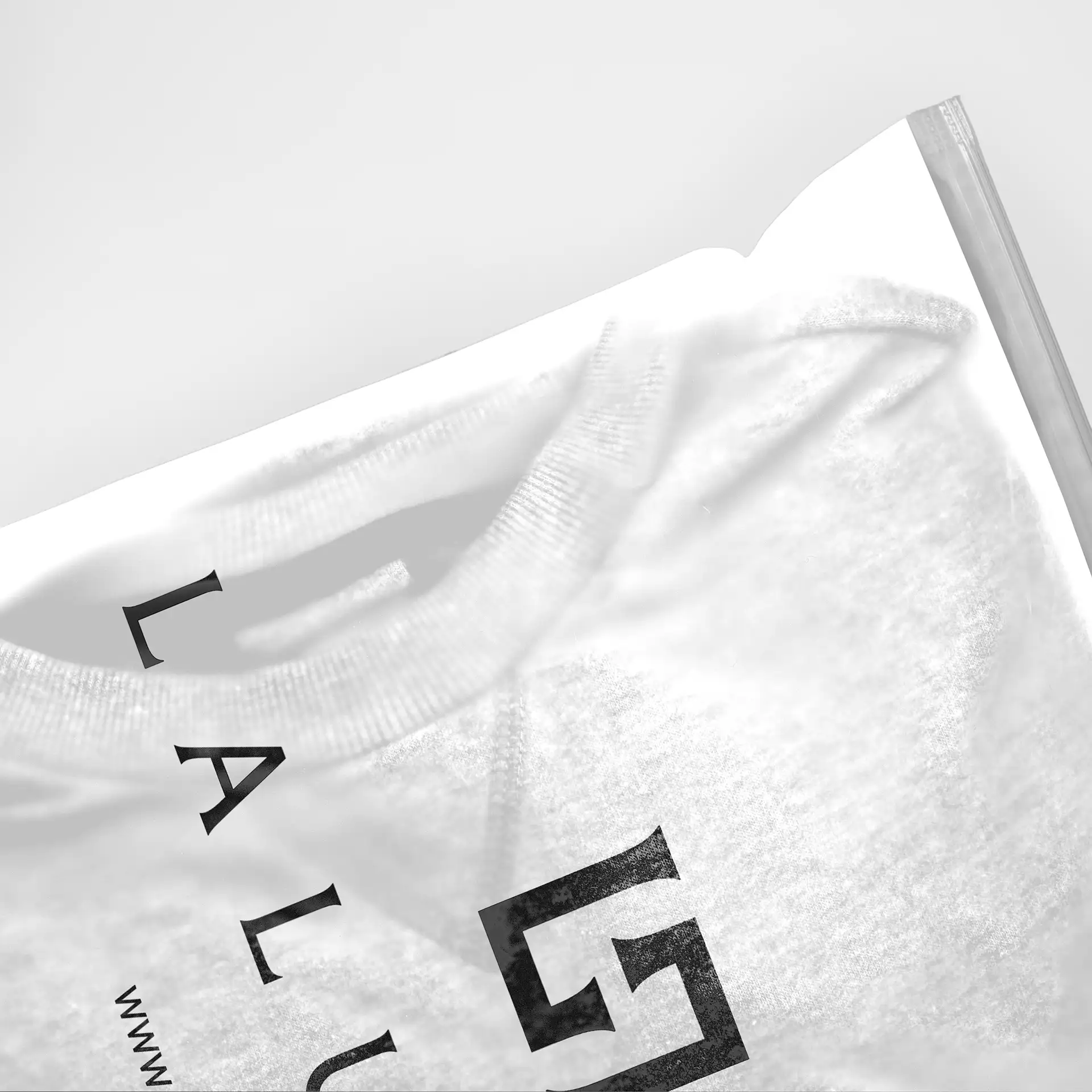 Close-up detail of high-quality apparel packaging showcasing the refined Laluvia logo and minimalist design.