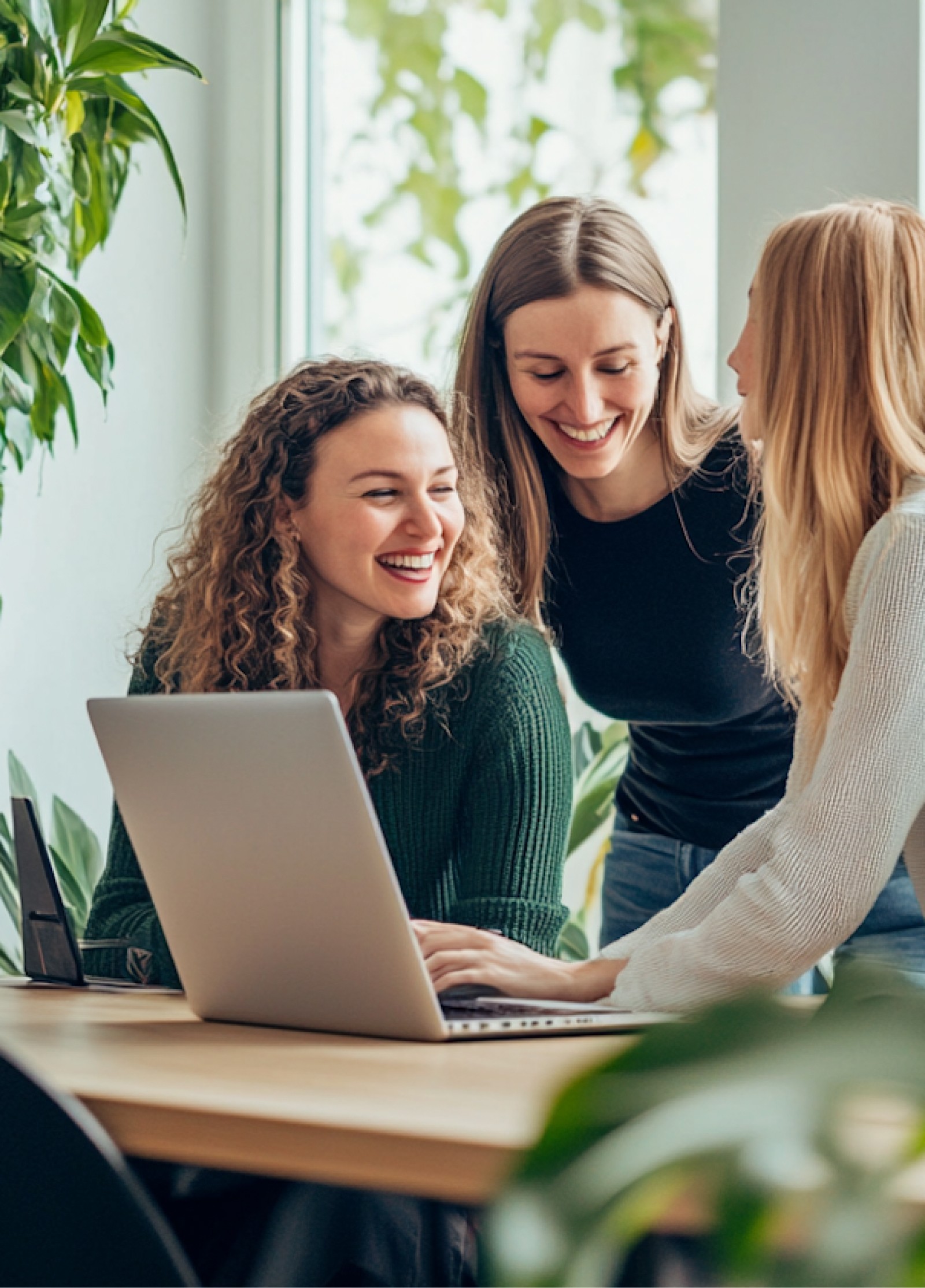 Team collaborating in a modern office environment