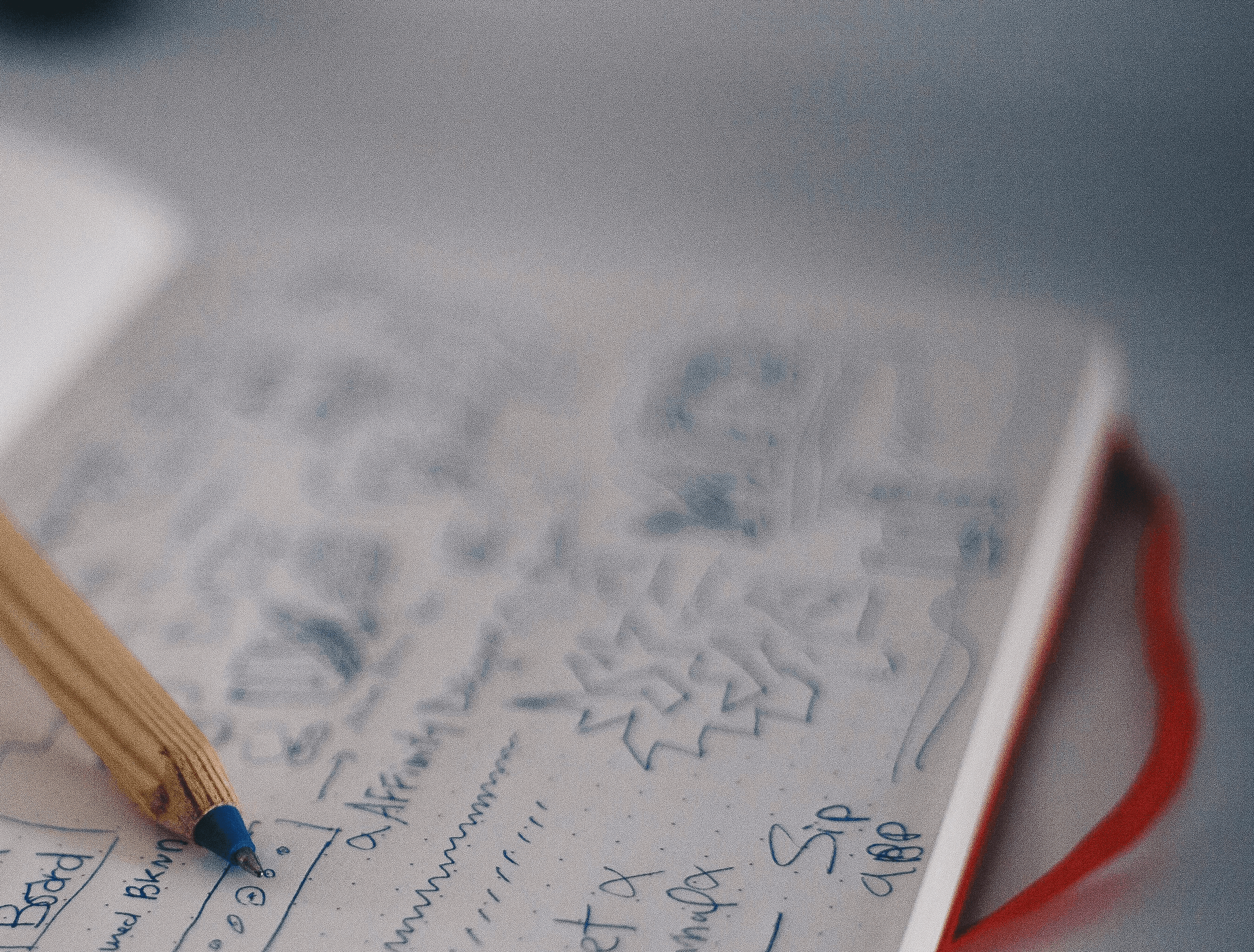 blue ballpoint pen on white notebook