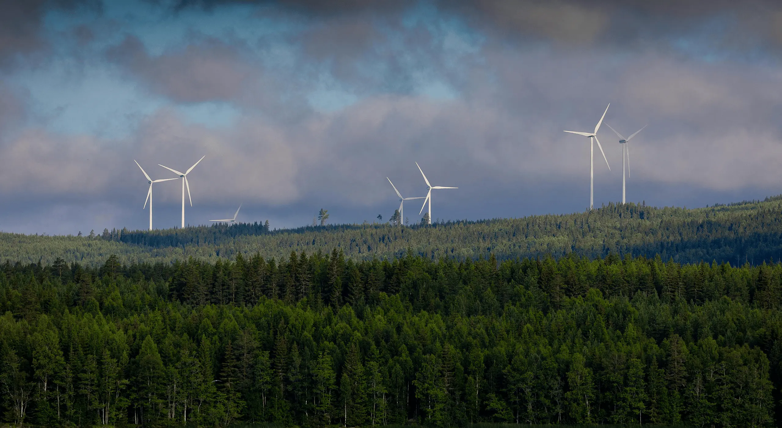 View of wind turbines on a hilltop surrounded by a lush green forest