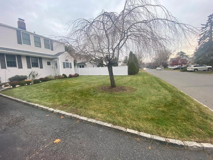 Before Topel Industries worked on it: front lawn through the season