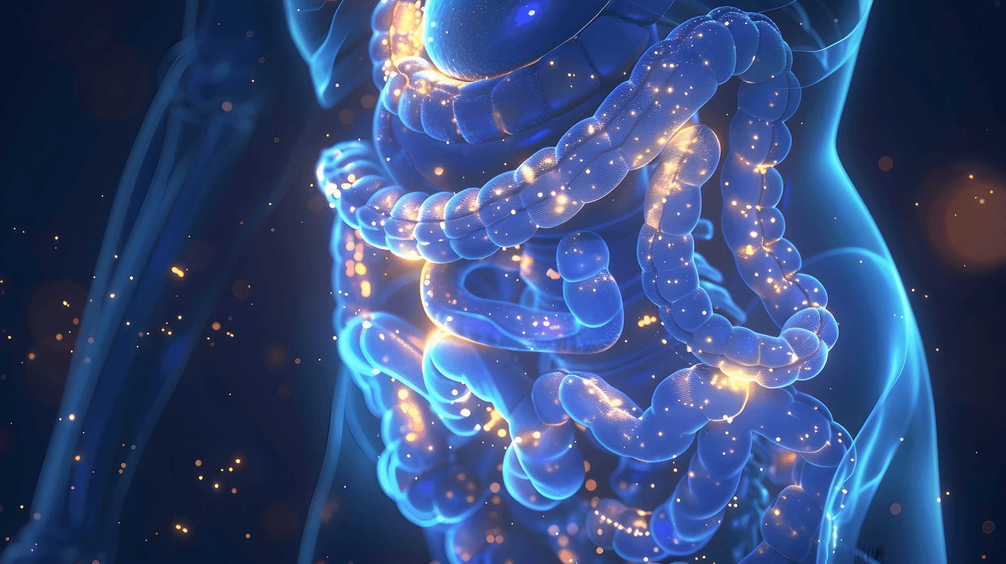 black turmeric makes digestion better