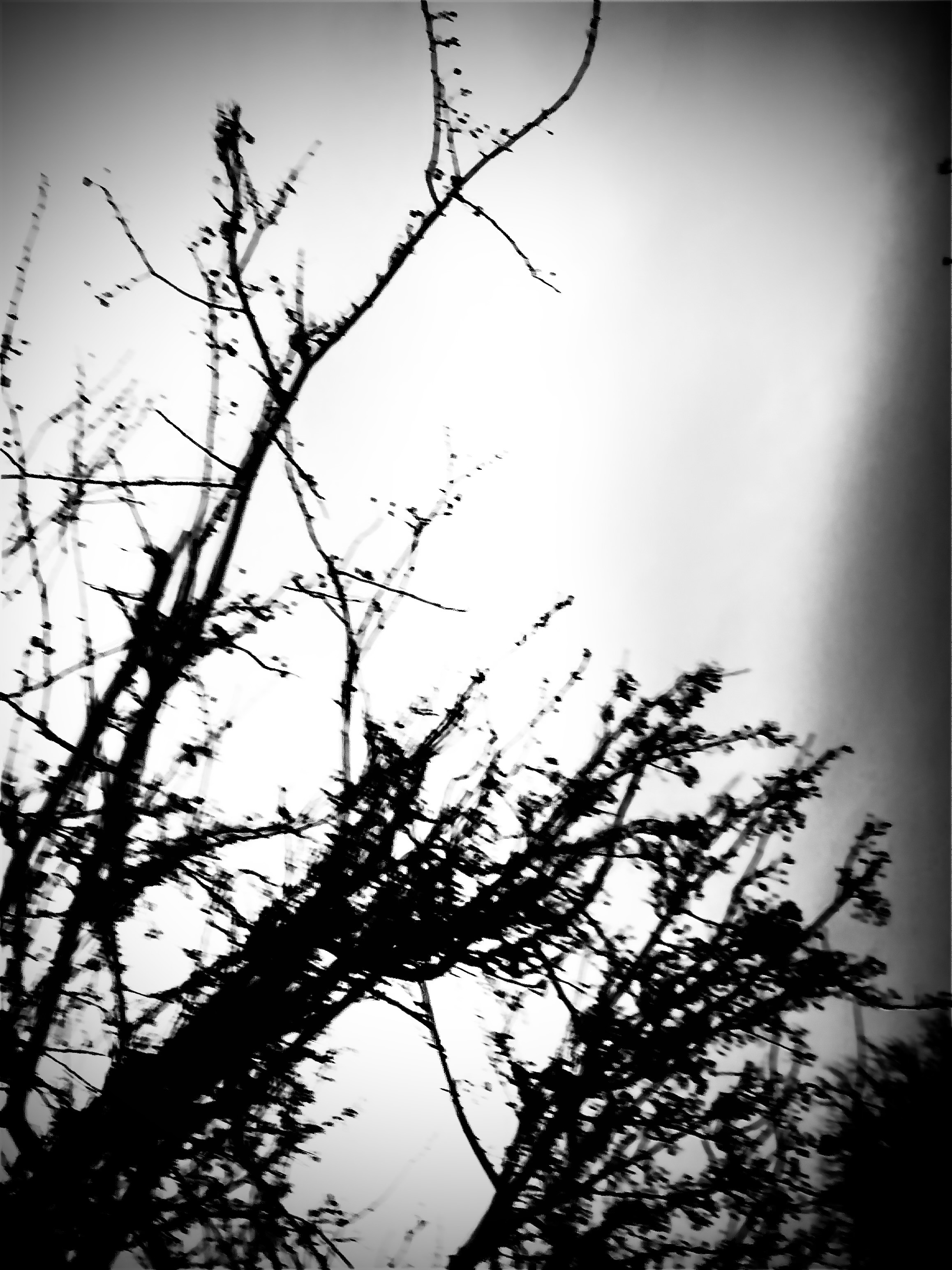 Luc Nijman - It is not About Specialization or Global Vision. It is About Ability.