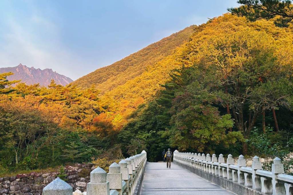 Walking over a bridge in Seoraksan National Park, South Korea