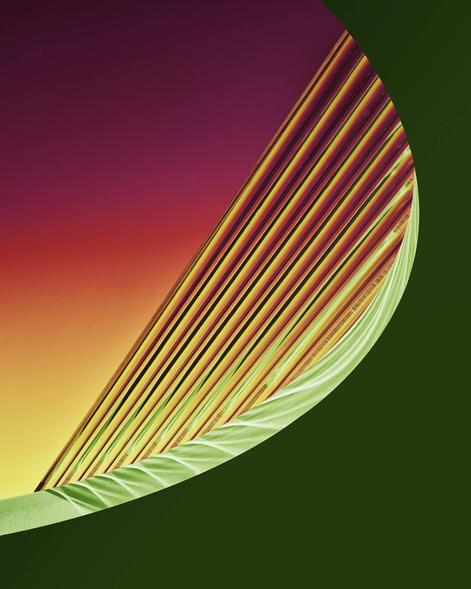 Colorful abstract design with vibrant gradient lines and geometric shapes.