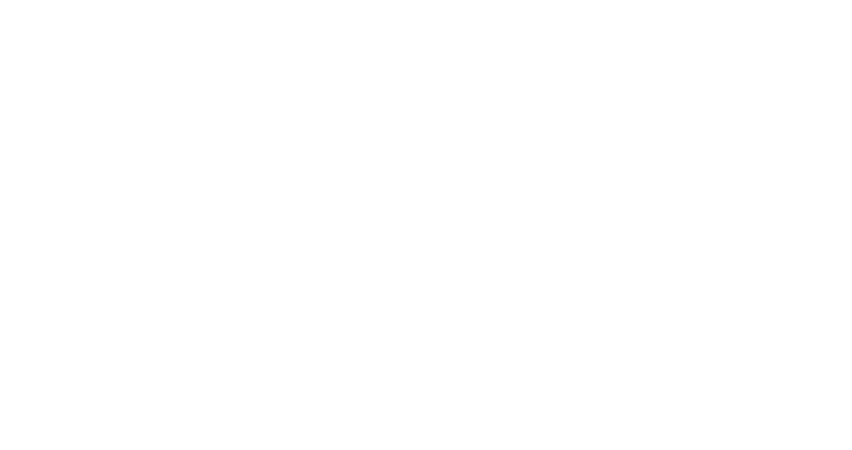 Lichtenheldt Logo skillbyte Kunde