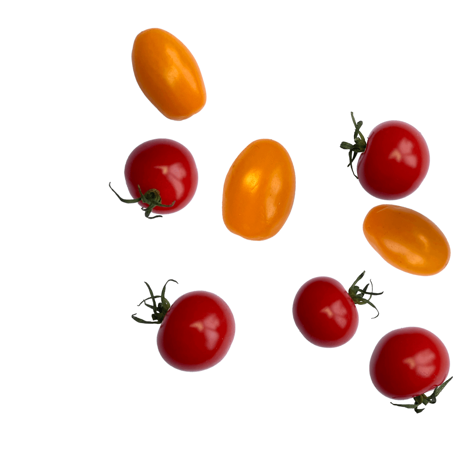 røde og gule toamter