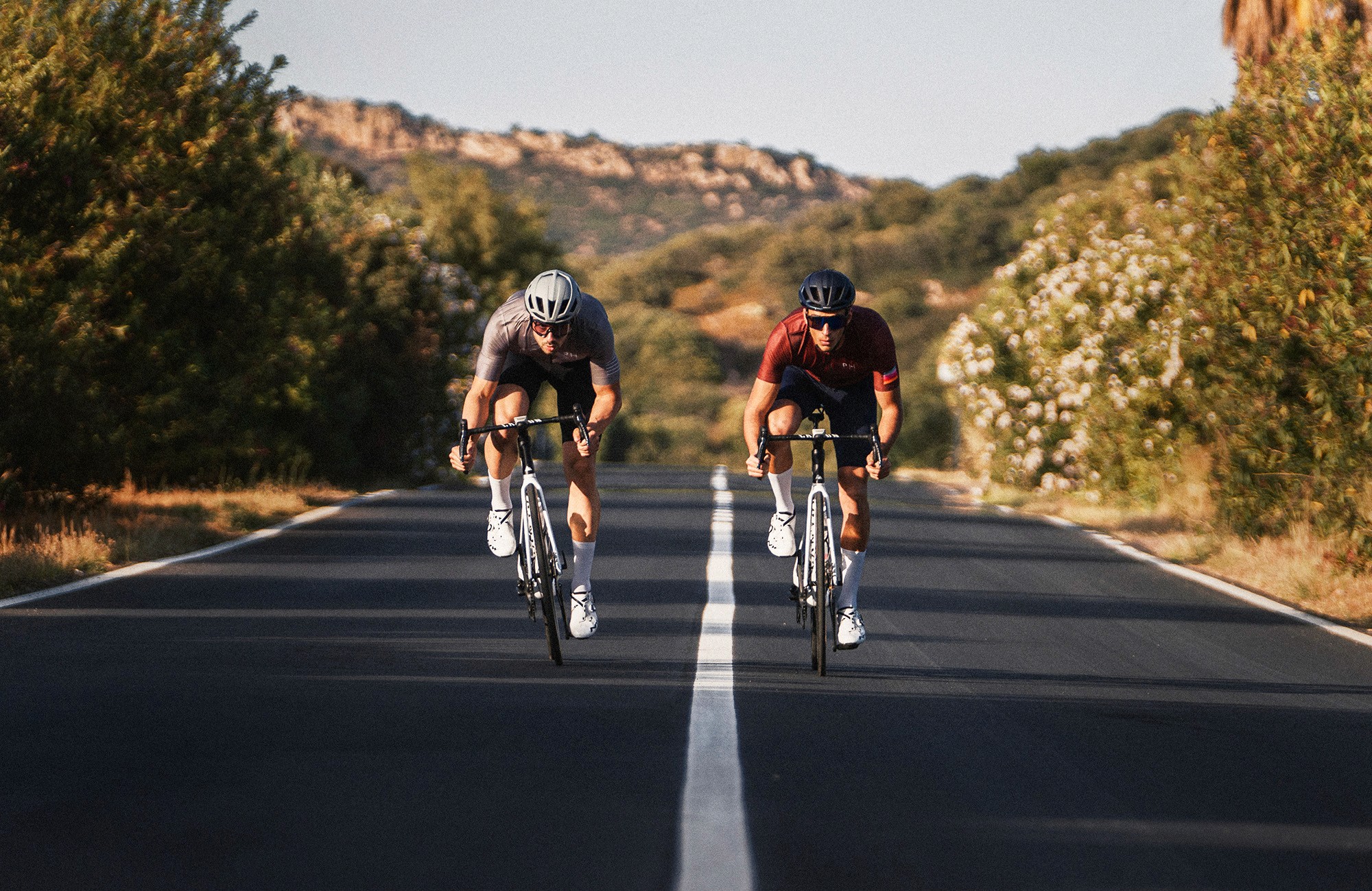 Two road cyclists