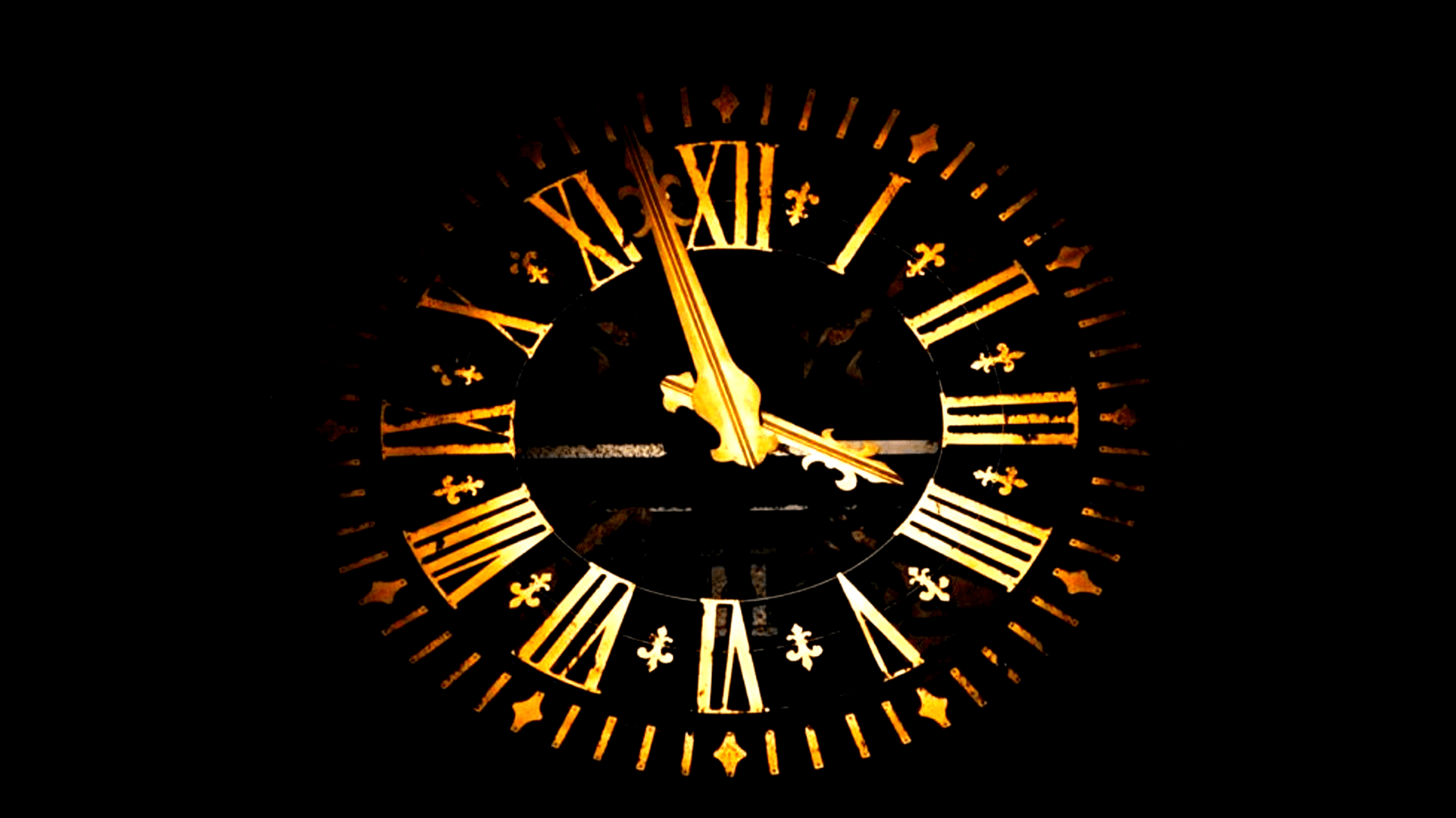 Service Photo Real Mehedi Free Framer Template Photography