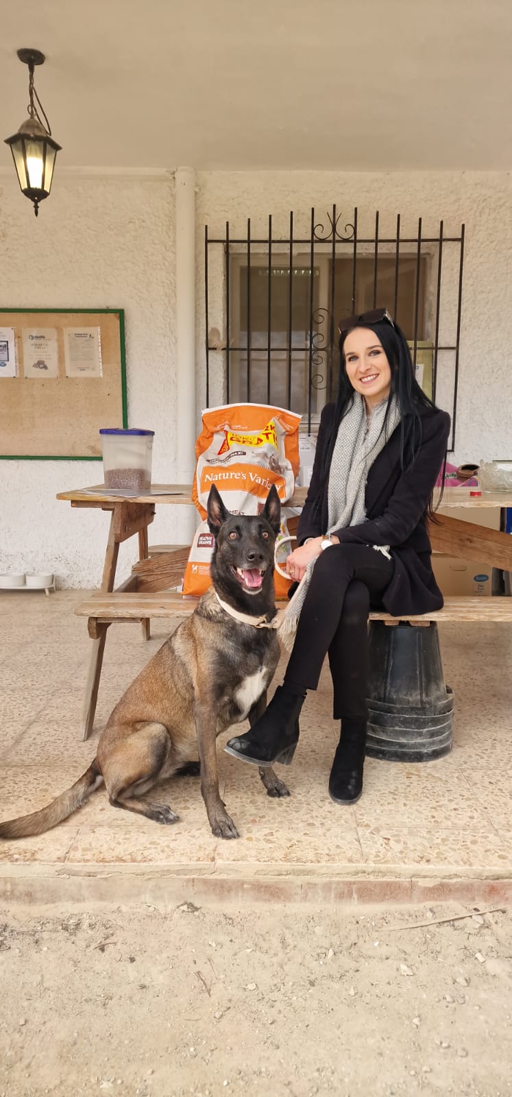 My Mafia colabora con protectora Asoka de animales de Alicante