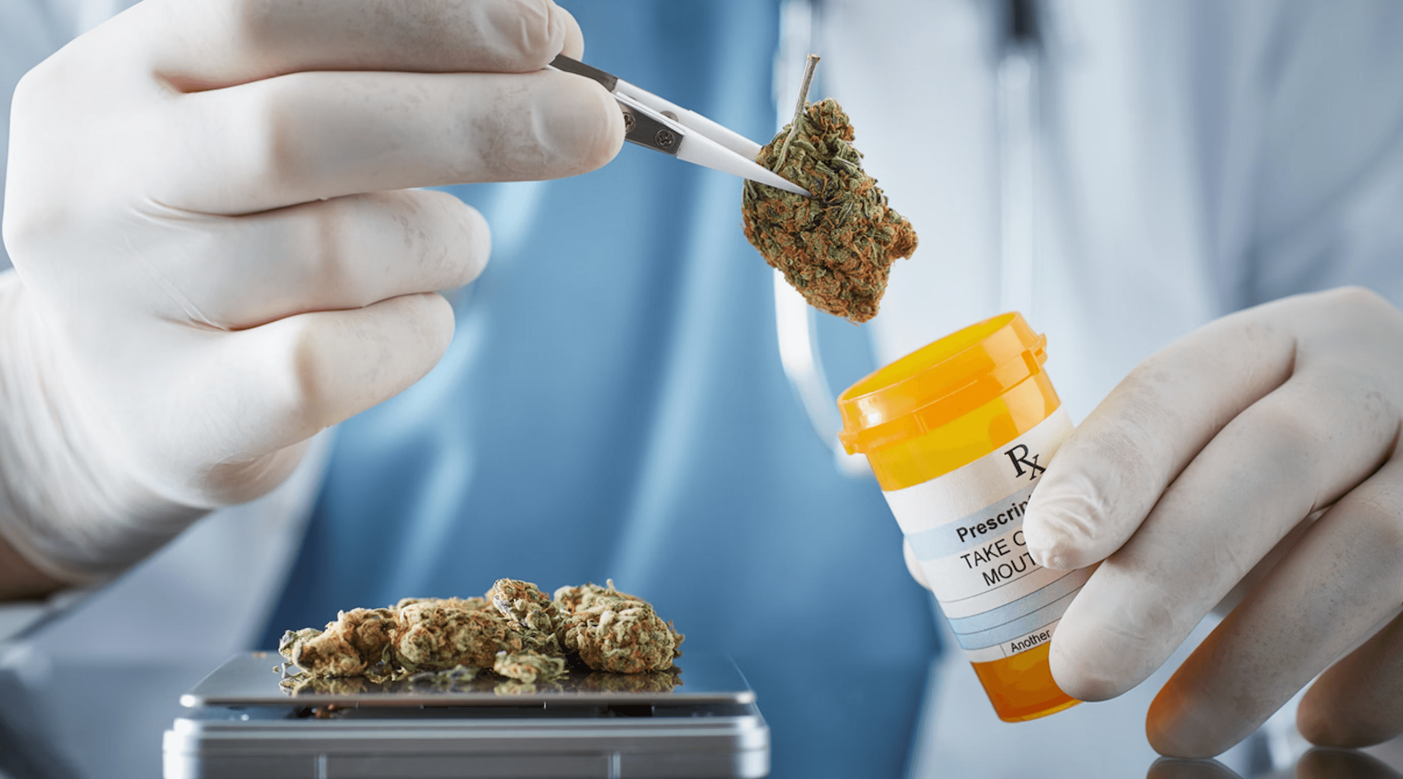 Doctor handling medical cannabis with tweezers - Titrating Medication Examples