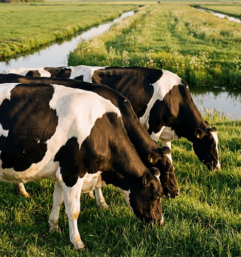 men and women conversion regarding solar panel 