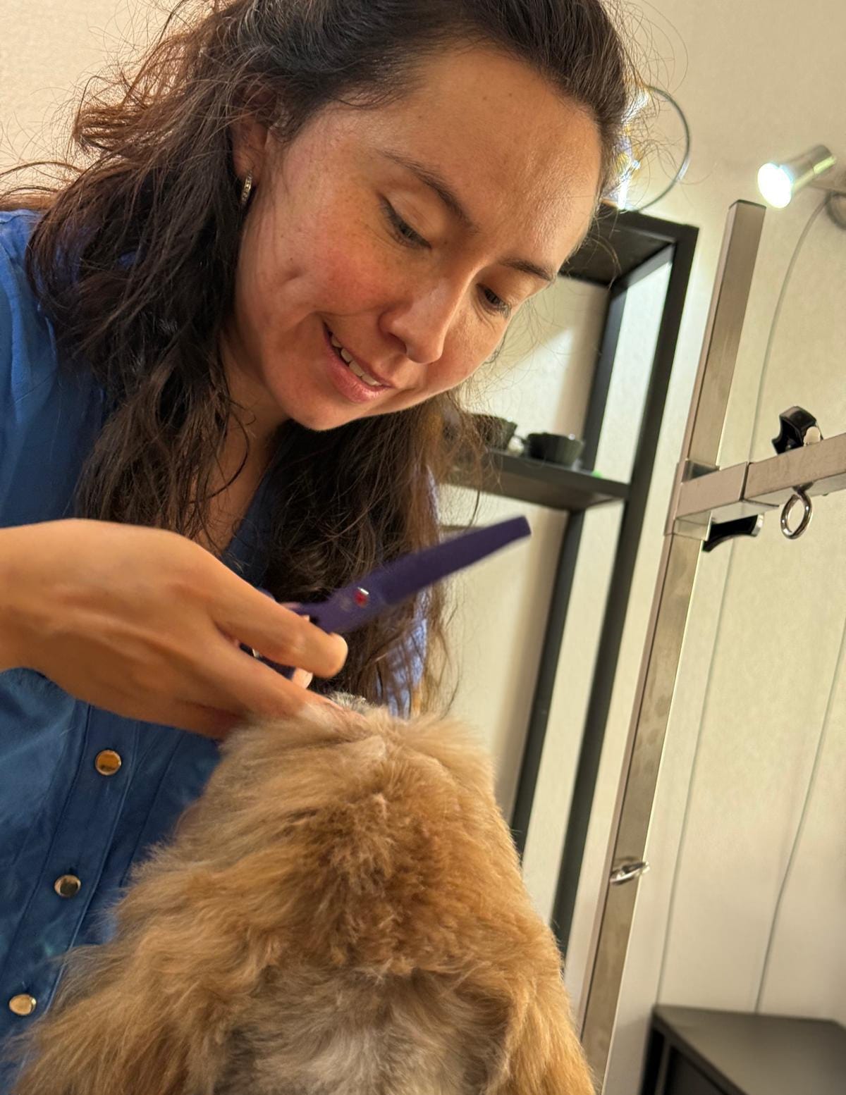 Shadogs - Toilettage canin à Nice