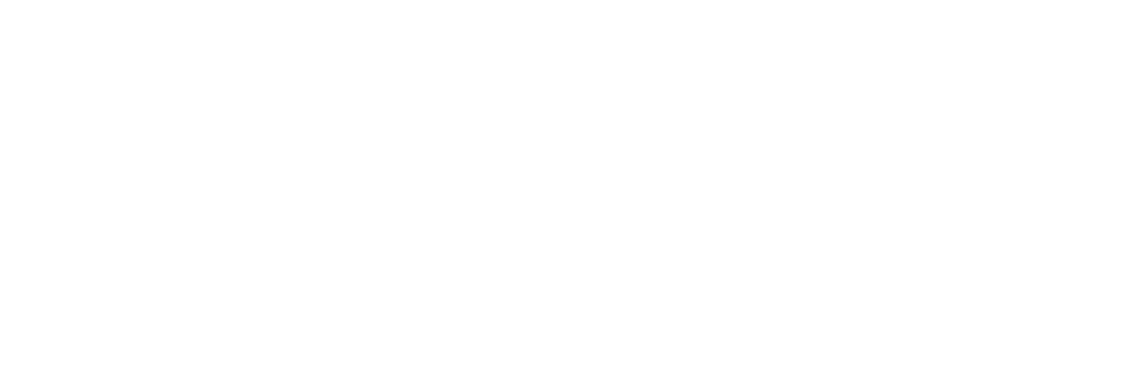 Perform Template Logo