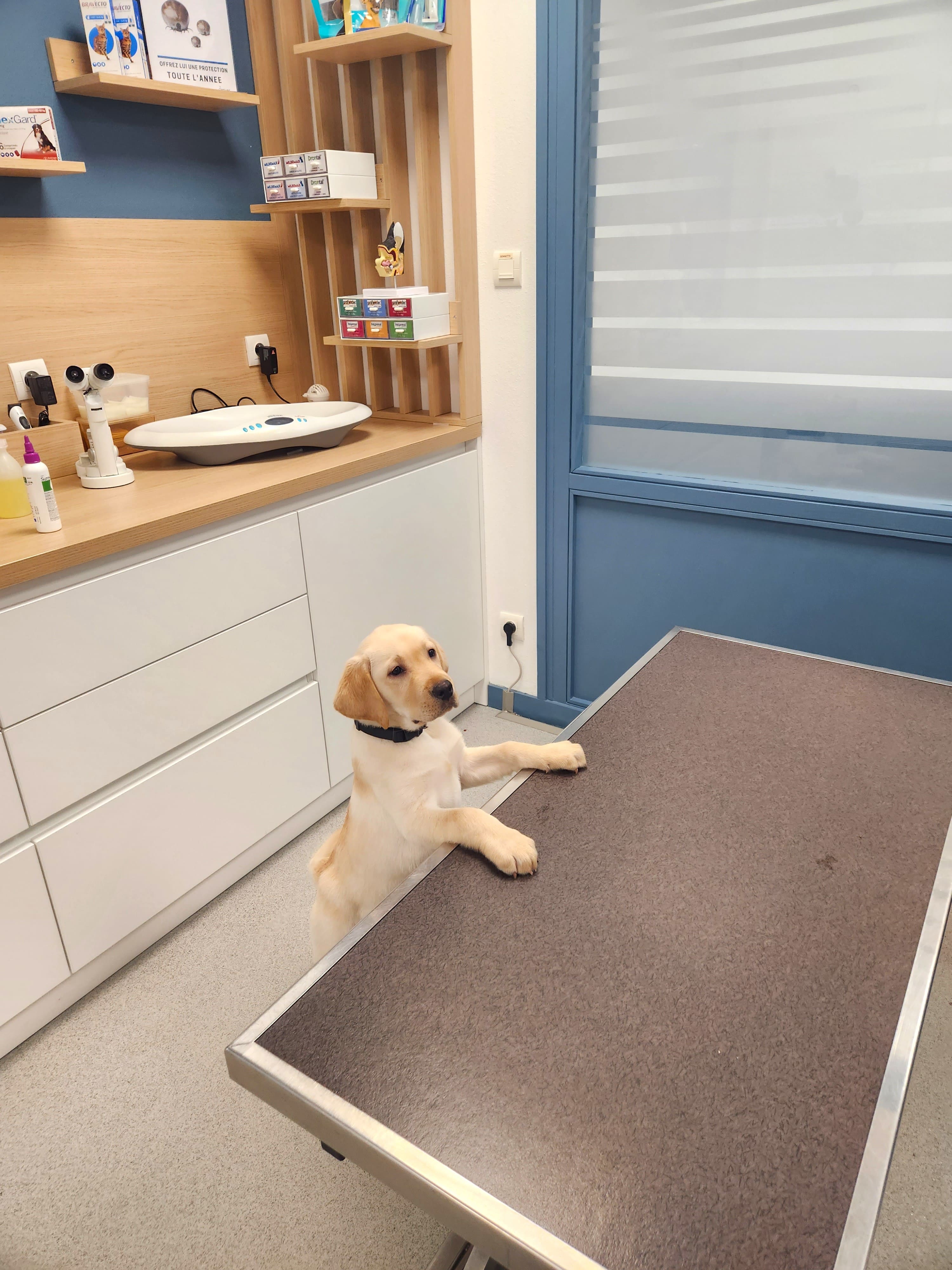 Salle de consultation