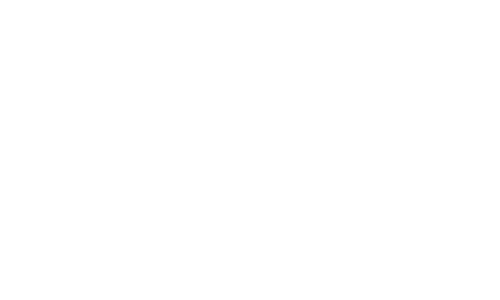 ACE Media client logo