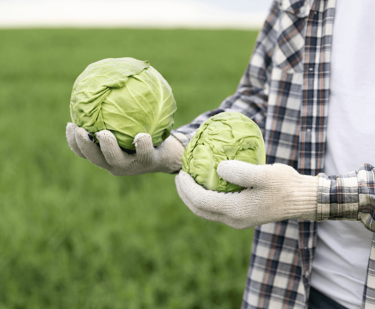 Sustainability farm