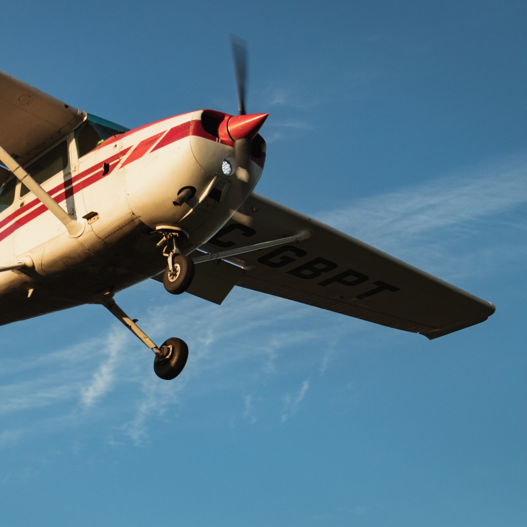 Modern home office setup with a monitor, ergonomic chair, keyboard, and indoor plants near a window with blinds.