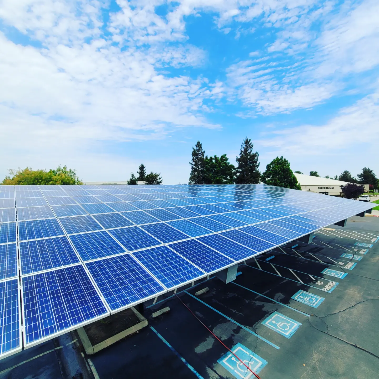 Large solar array framed by trees | Premier Solar Service
