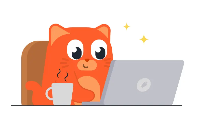 Tingu-app-about-team