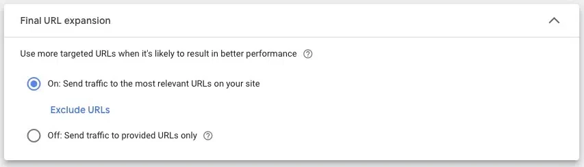 Screenshot Google Performance Max. Settings for advanced URL options