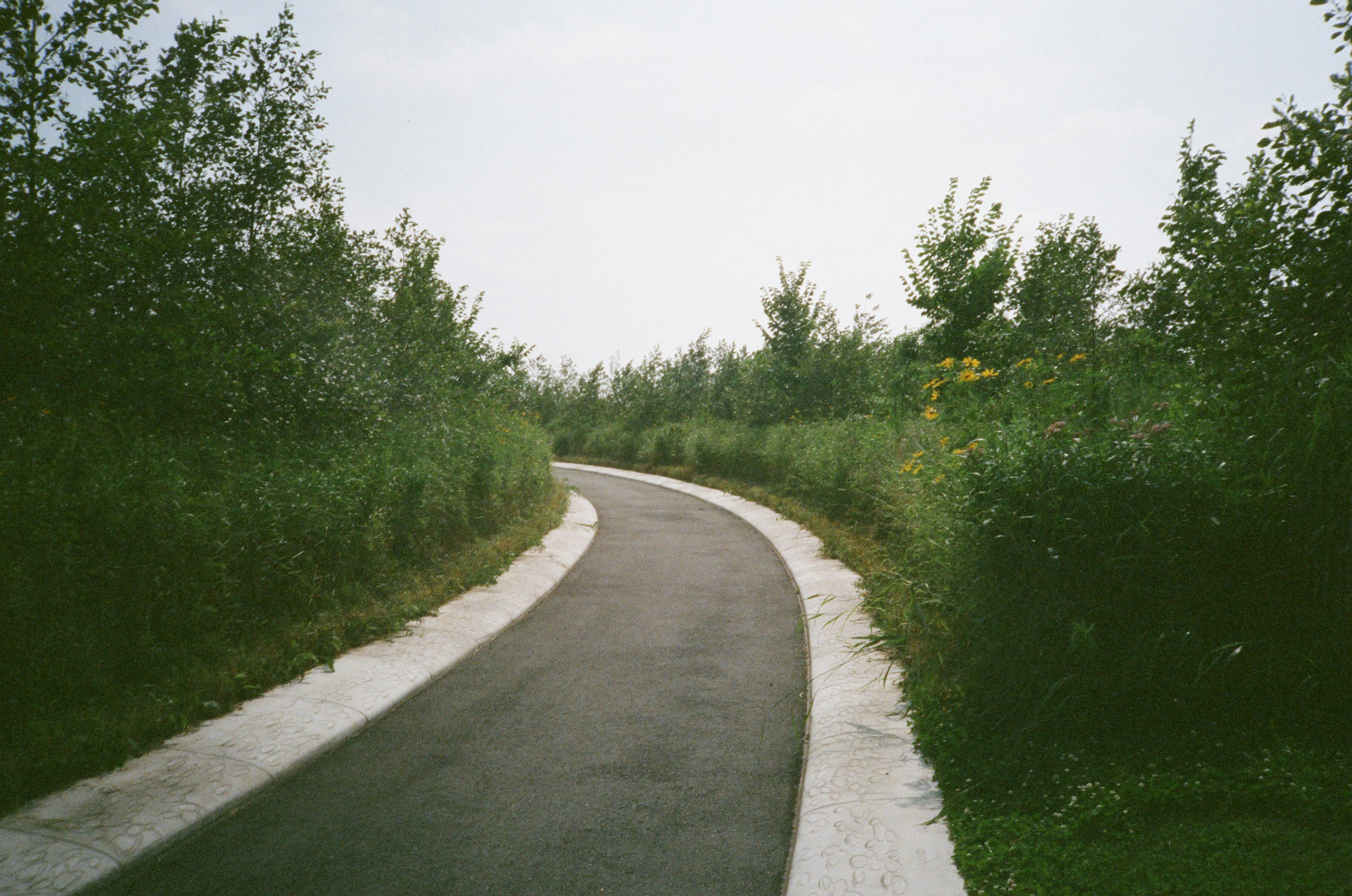 A Windng Path