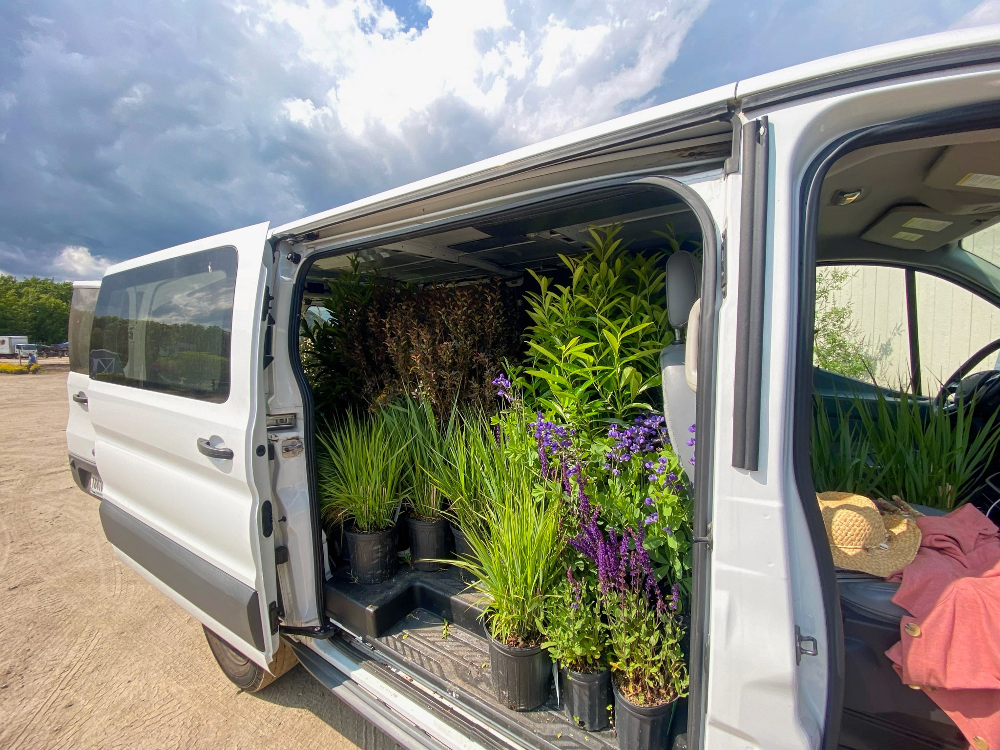Delivery van loaded with perennials and ornamental grasses