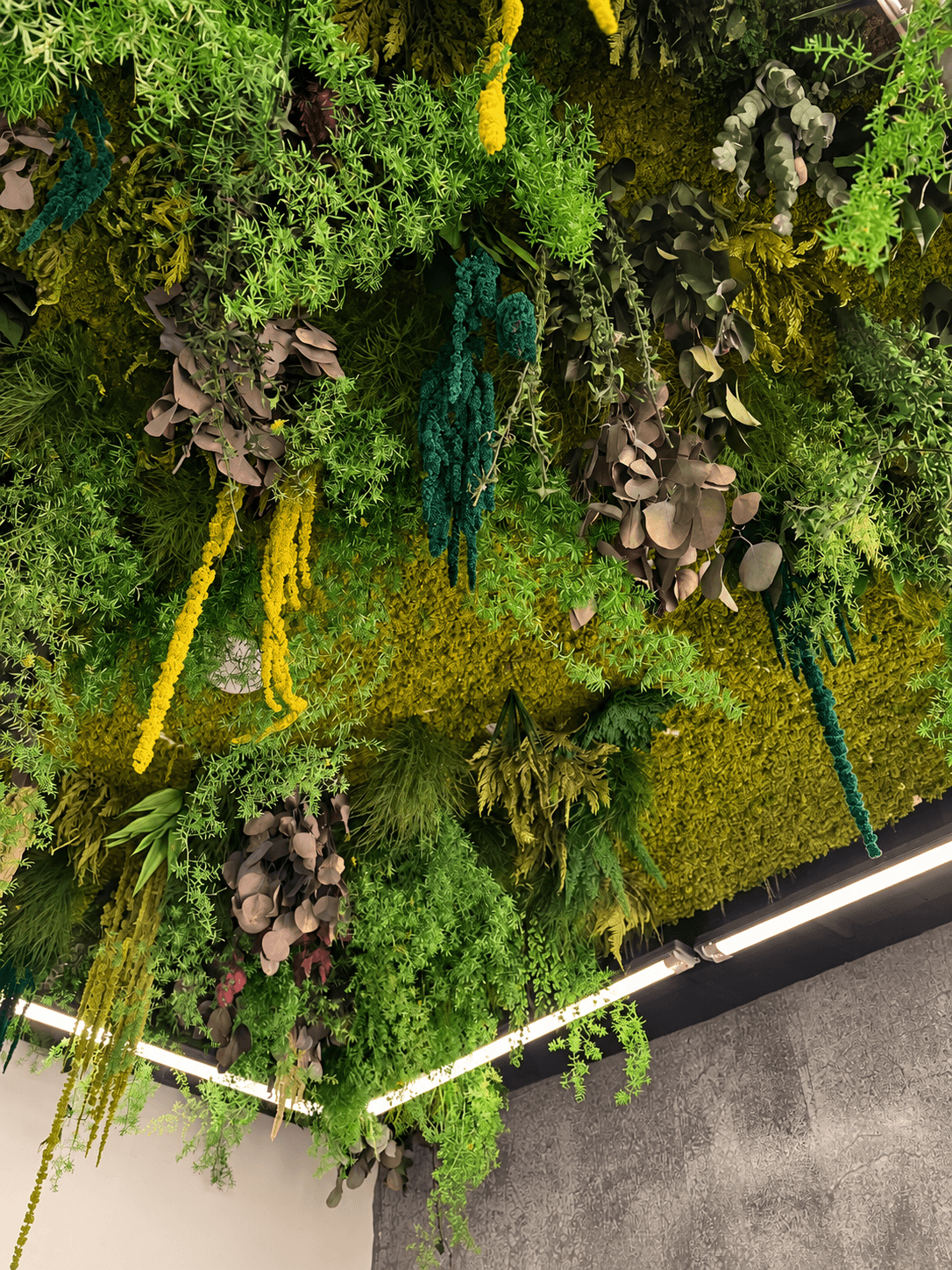 Preserved botanical ceiling installation with cascading foliage, moss and eucalyptus at BLOOMEC.
