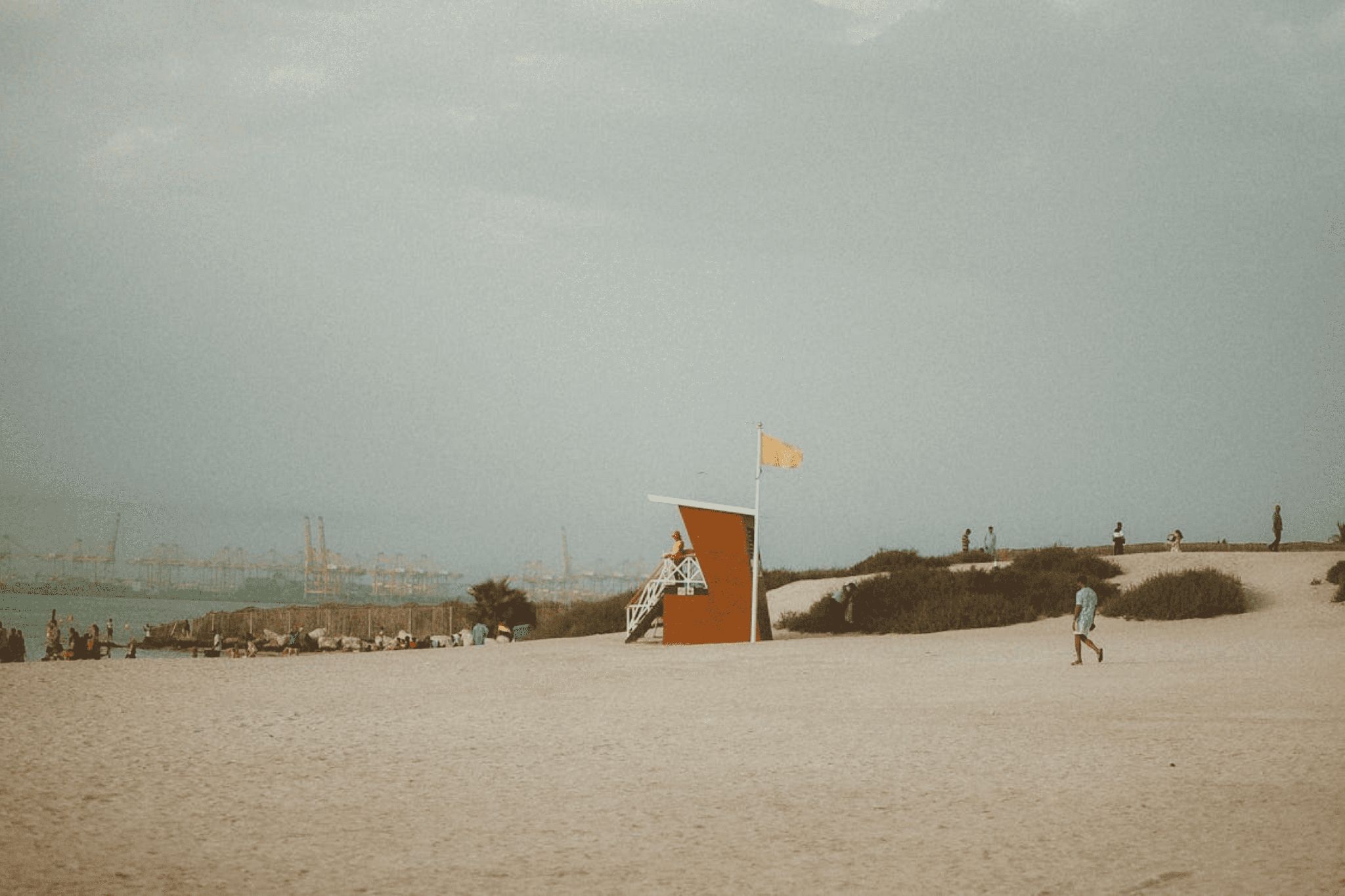 A lifeguard tower along the dog-friendly beach, with people walking and relaxing on the sand.