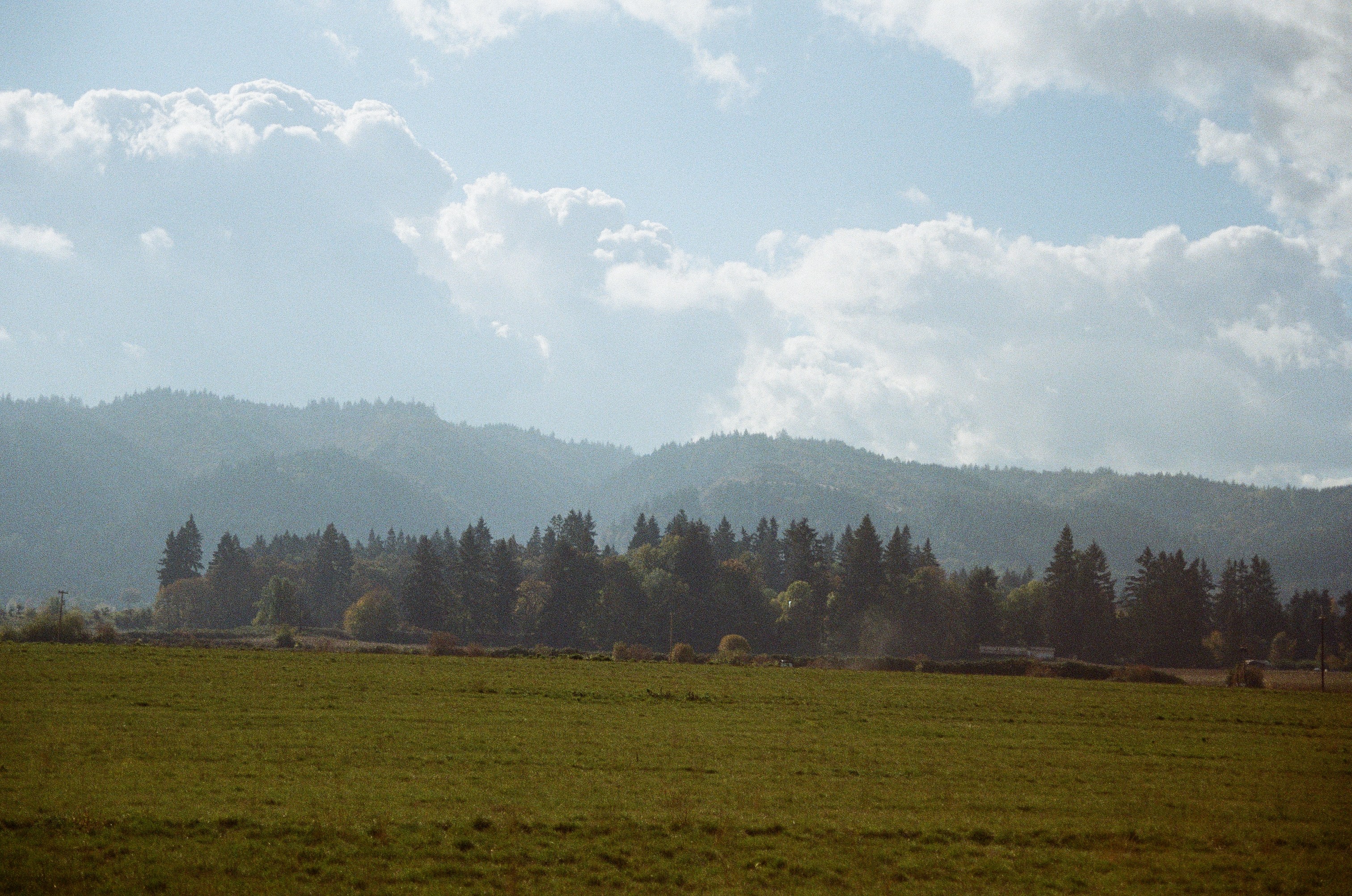 Close-up of a purple gradient background featuring a 3D pill-shaped gradient logo to the left of the word “Circular” in white sans-serif type.