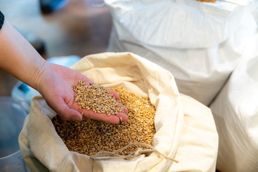 Grains 2.0