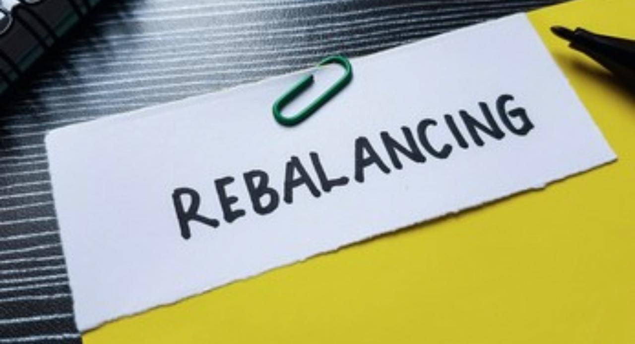 Close-up of lush, dark green leaves, some glossy and wet, against a muted background.