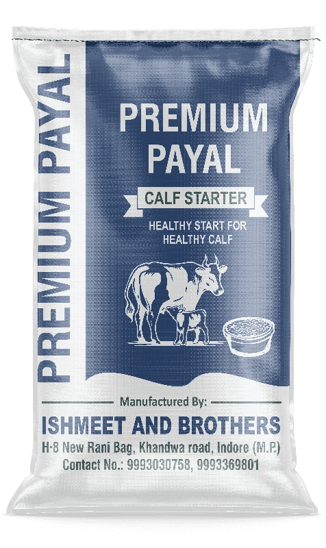 Premium payal gold